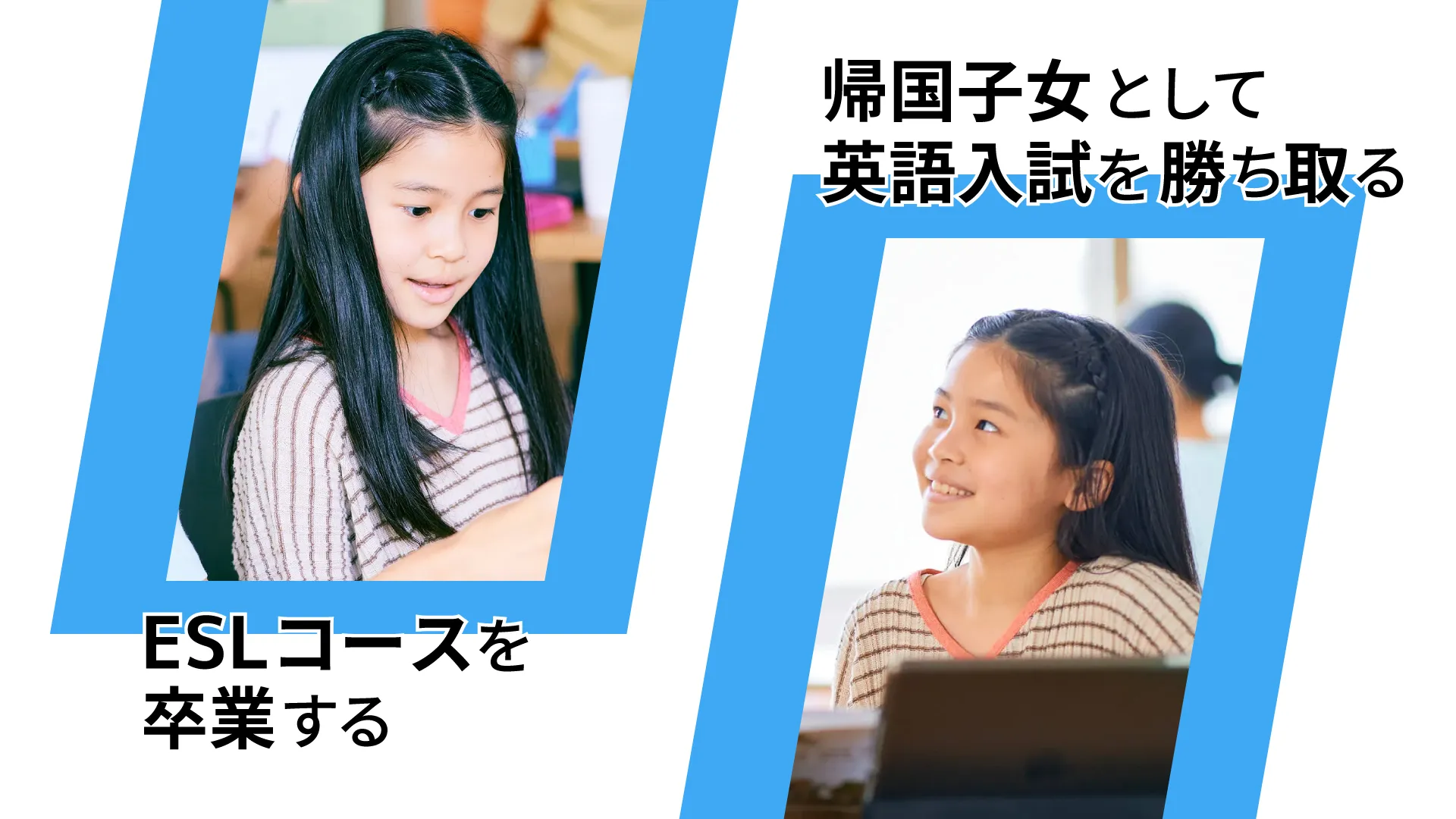 秋の紹介キャンペーン